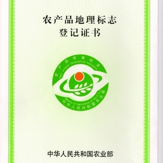 綠色大v形狀標志女包_申請申請 簽證身份書_綠色食品標志使用申請書下載