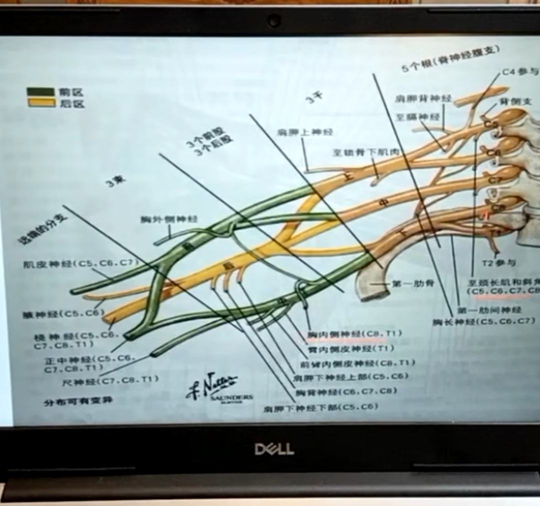 架構圖用什么軟件_用手機換西服的p圖軟件_互聯網時代的軟件革命saas架構設計