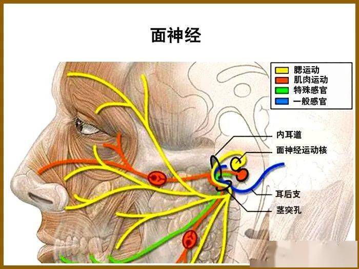 用手機換西服的p圖軟件_架構圖用什么軟件_互聯網時代的軟件革命saas架構設計
