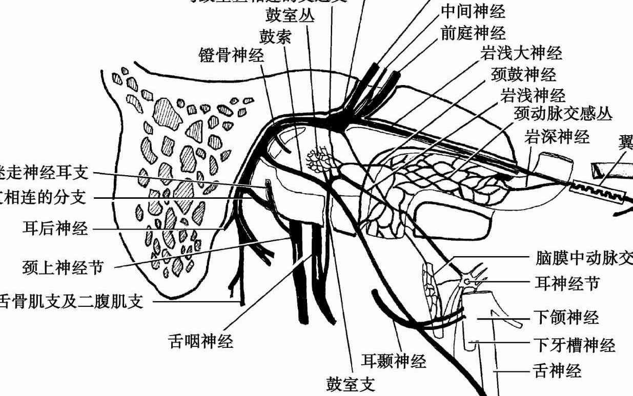 互聯網時代的軟件革命saas架構設計_架構圖用什么軟件_用手機換西服的p圖軟件
