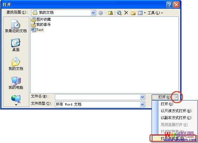 ftp無法直接打開word_win10系統word2003無法直接打開_nas數據盤直接掛win系統下