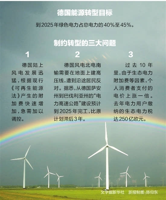 什么中藥可替代野料豆_吉利丁片什么可替代更健康_可替代能源定義英文