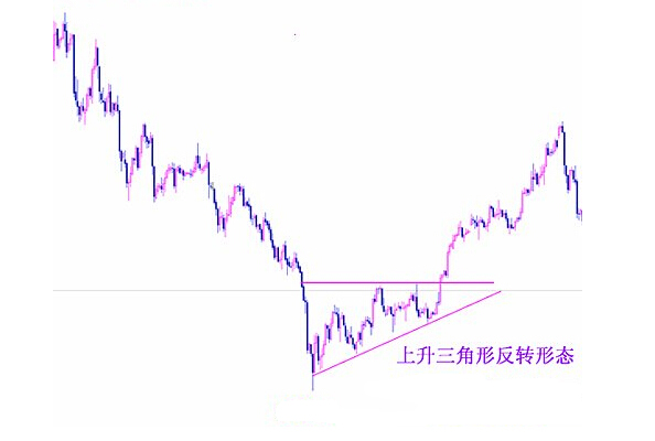 形態分析精要 青木pdf_形態分析精要pdf_花仙精靈王豆丁形態圖片
