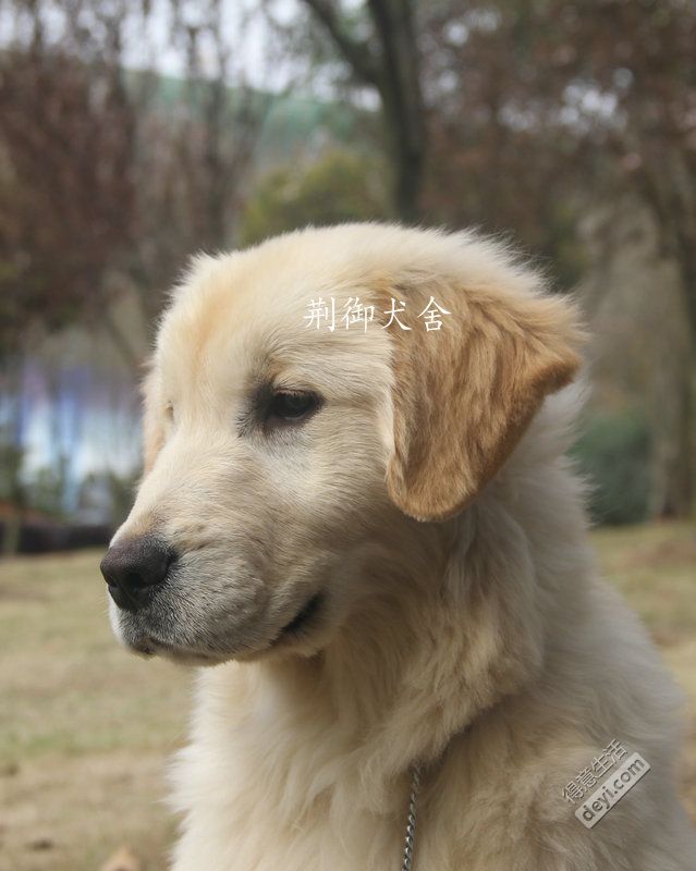 pdf轉換成word后亂碼怎么辦_word轉換成pdf后亂碼怎么辦_pdf轉換成word后亂碼怎么辦