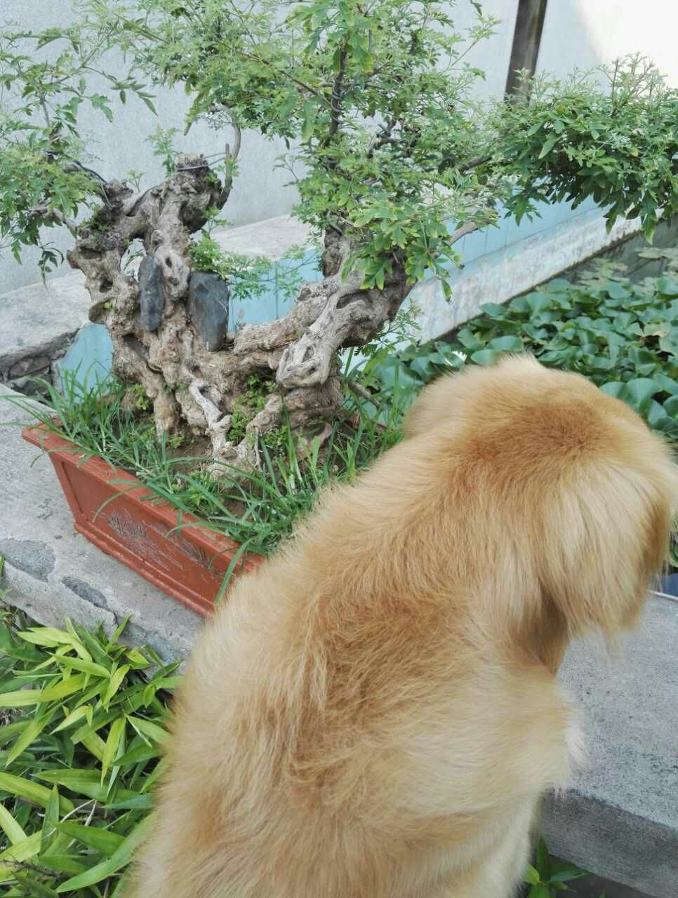 word轉換成pdf后亂碼怎么辦_pdf轉換成word后亂碼怎么辦_pdf轉換成word后亂碼怎么辦
