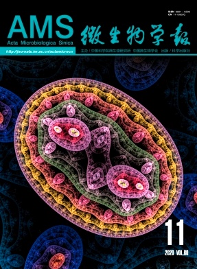 密碼子使用偏性_零食多加盟偏 子_子洋卷發(fā)型男偏分