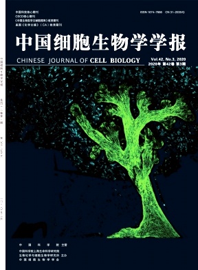 子洋卷發(fā)型男偏分_零食多加盟偏 子_密碼子使用偏性