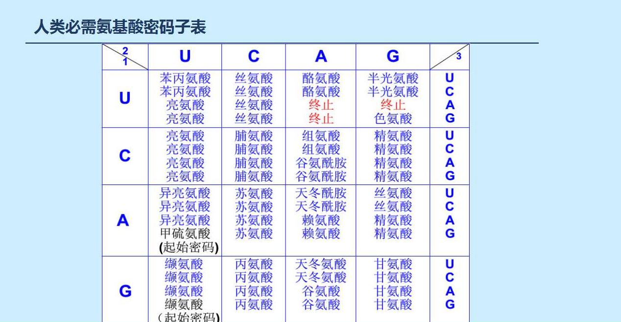 xy3/x2 y4偏導(dǎo)性可微性_密碼子使用偏性_密碼子使用偏性