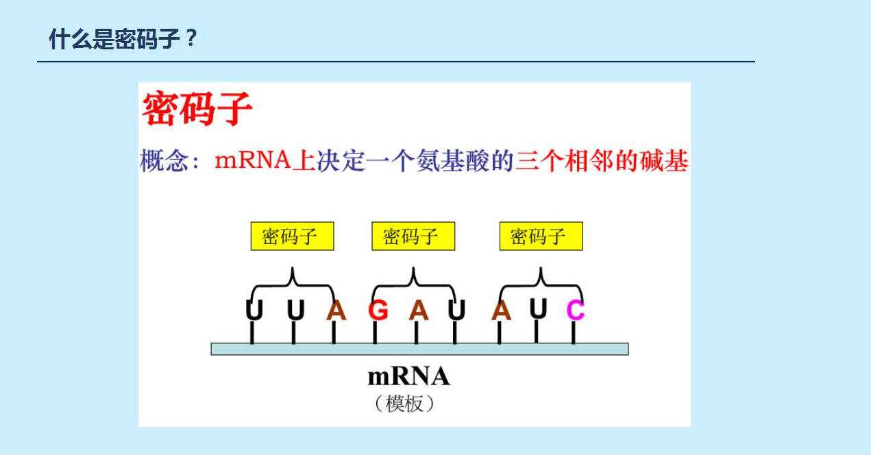 密碼子使用偏性_密碼子使用偏性_xy3/x2 y4偏導(dǎo)性可微性