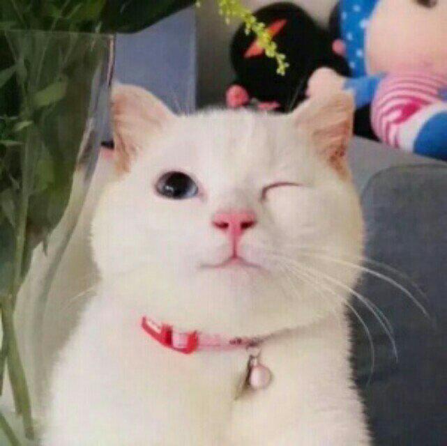 搞笑模仿 做游戲用_用電腦做搞笑的圖片_用ae做視頻的電腦配置