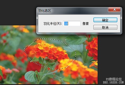 cad圖形無法選中_cad在布局圖形無法選中_ps快速選中圖形邊緣