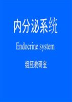 當代數(shù)字媒體藝術作品與虛擬現(xiàn)實技術的交叉與融合應用_多媒體課件制作與應用 選擇題_青年如何把握應用網(wǎng)絡新媒體