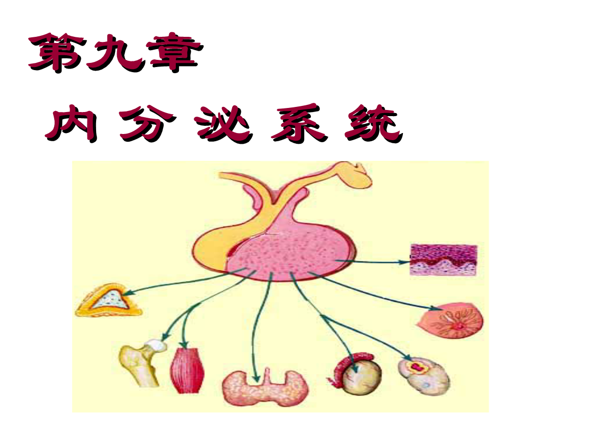青年如何把握應用網(wǎng)絡新媒體_多媒體課件制作與應用 選擇題_當代數(shù)字媒體藝術作品與虛擬現(xiàn)實技術的交叉與融合應用