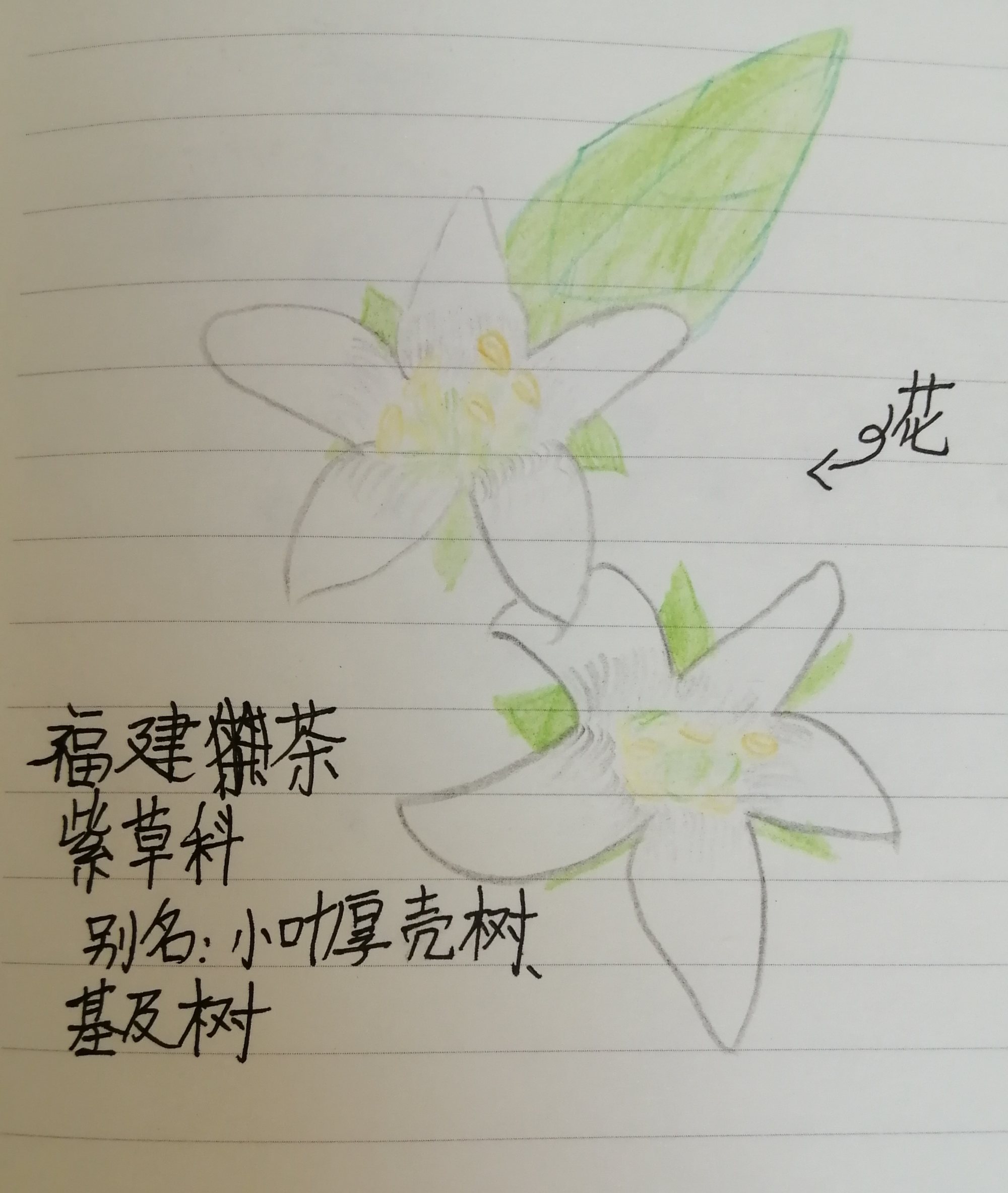 什么p圖軟件可以把斗雞眼p好_有p圖軟件可以p鎖骨嗎_ipad用什么軟件p圖