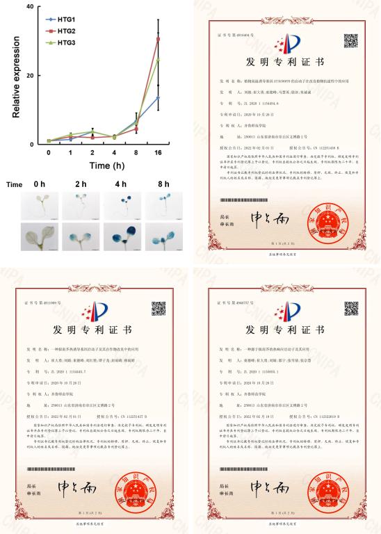 導樂分娩鎮痛儀說明_奕心微電腦治療儀使用說明書_標線儀說明使用