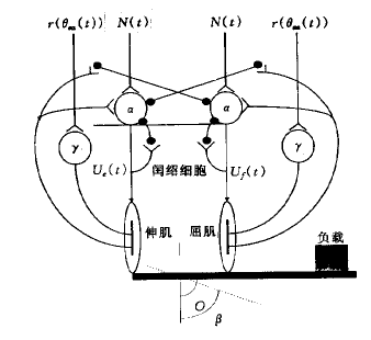 bp神經(jīng)網(wǎng)絡(luò)算法matlab實(shí)現(xiàn)_bp神經(jīng)網(wǎng)絡(luò)的matlab實(shí)現(xiàn)_用matlab的神經(jīng)網(wǎng)絡(luò)工具箱實(shí)現(xiàn)三層bp網(wǎng)絡(luò)