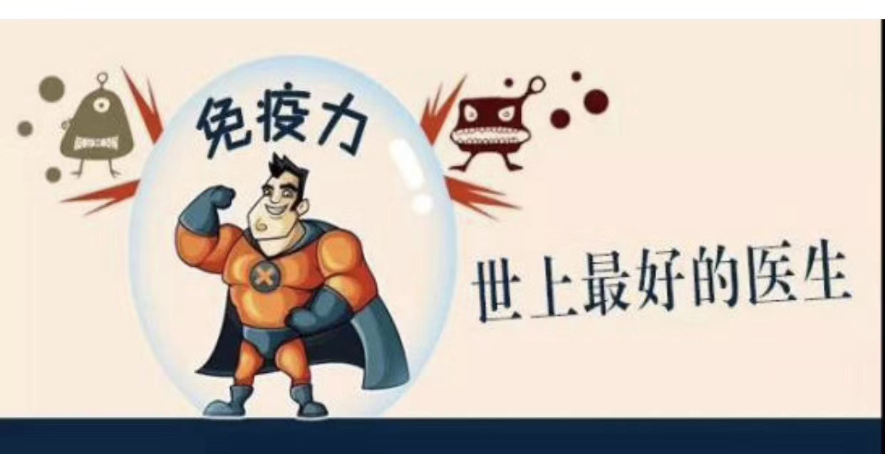 腎移植后免疫低怎么辦_白細(xì)胞免疫低 不孕_免疫功能低下圖片
