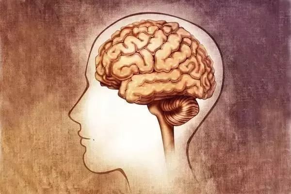 腦年齡測試游戲_腦年齡測試你是幾歲_測試完自動告訴你腦年齡的軟件