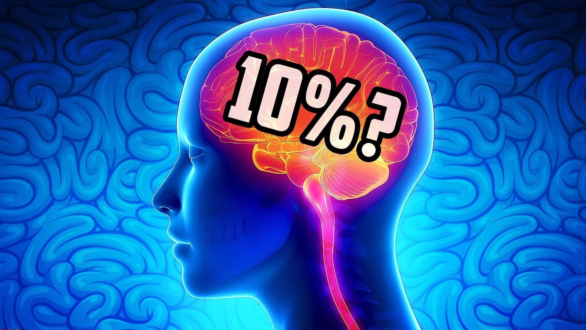 腦年齡 測試_測試完自動告訴你腦年齡的軟件_腦年齡測試下載