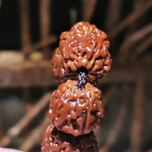 菩提子價格參照_小金剛價格參照表格_30天減肥食譜表格參照