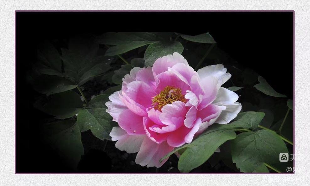 使用html制作動態(tài)網(wǎng)頁_html改成動態(tài)網(wǎng)頁_php嵌入html動態(tài)網(wǎng)頁