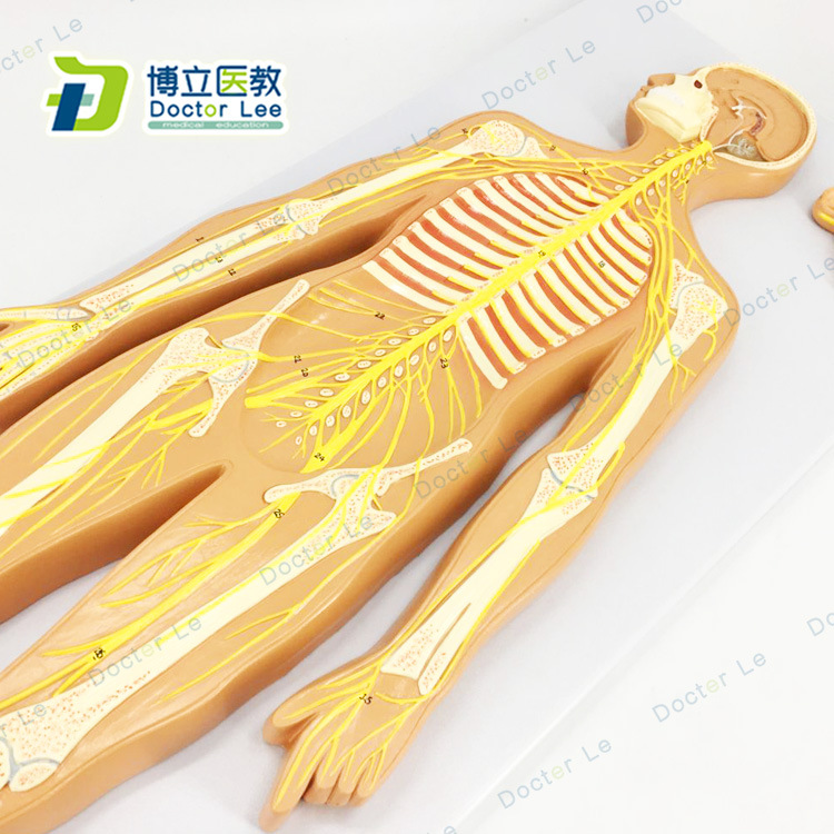 決策樹如何防止過擬合_防止過擬合_機器學習防止過擬合