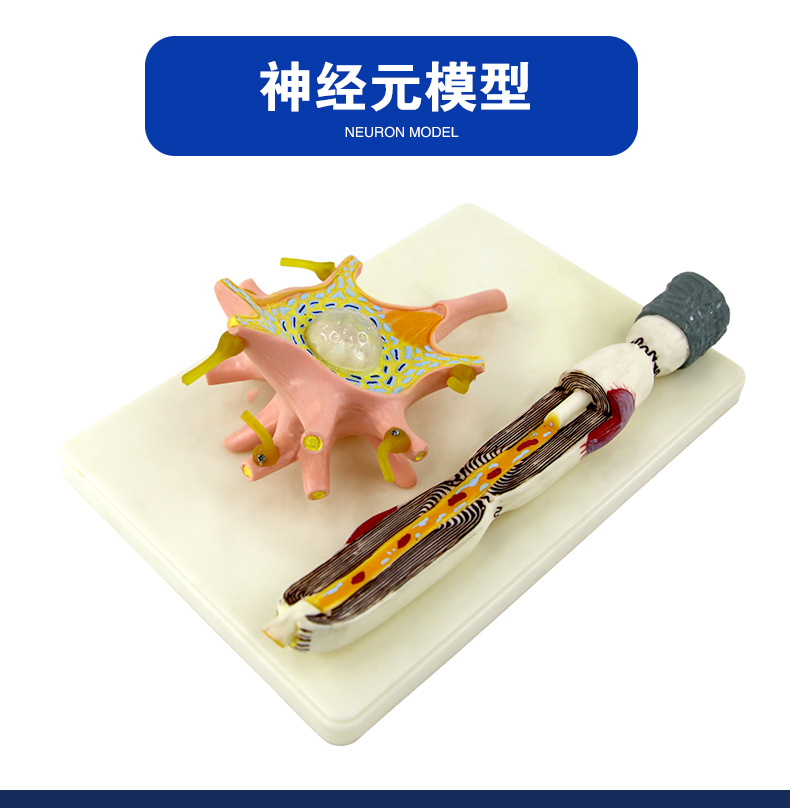 決策樹如何防止過擬合_機器學習防止過擬合_防止過擬合