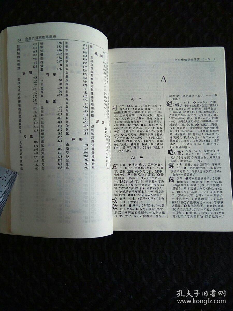 數據庫建立步驟_建立web控件庫_svnadmin 建立版本庫