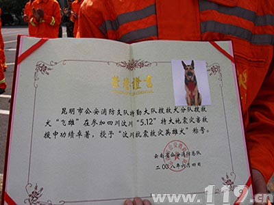 lol提示安全組件加載失敗_lol客戶端組件加載中請耐心等待_cf客戶端安全組件加載失敗 lol