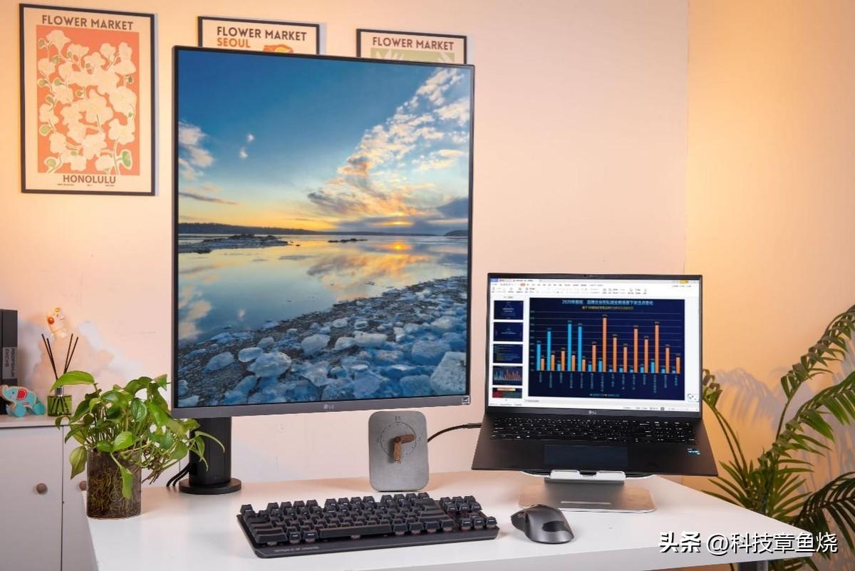 用js寫html代碼案例_寫代碼用多大的顯示器_android用代碼寫布局