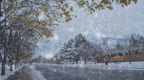 如何為照片Ps下雪效果1