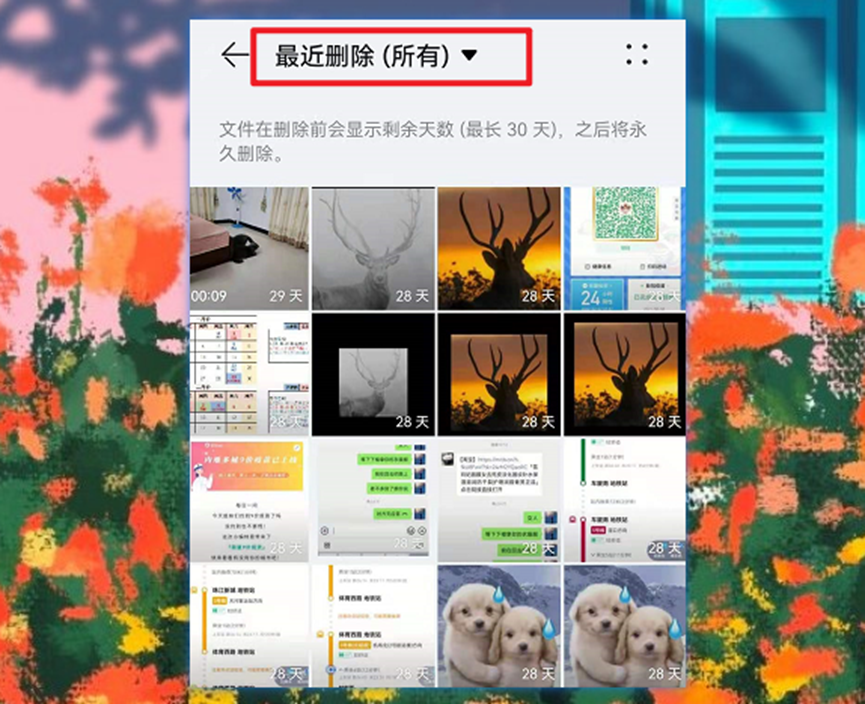 怎么把文件隱藏后再顯示出來_把隱藏的文件顯示_隱藏顯示出來文件后怎么恢復