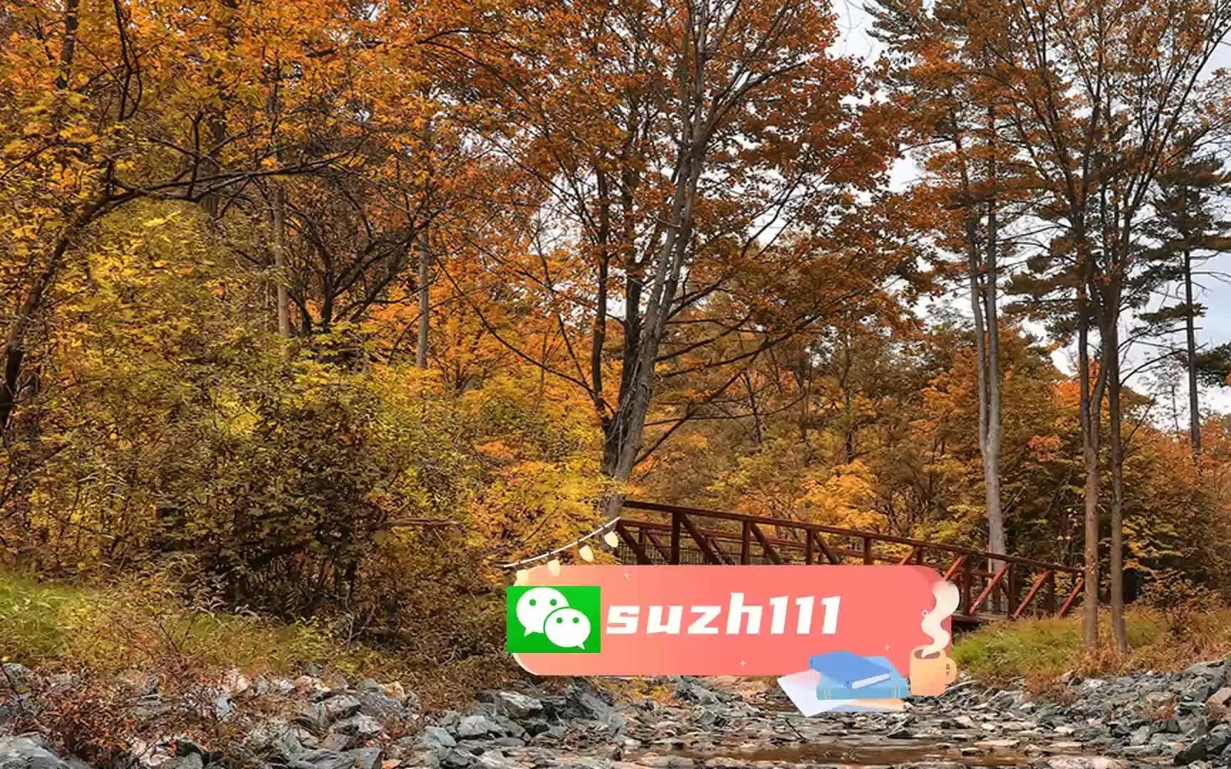 實際背包應用問題分析_實際背包應用問題有哪些_背包問題實際應用