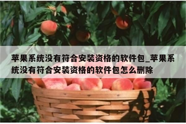 沒有資格的安裝包_沒有符合安裝資格的軟件包_沒有符合資格的安裝包