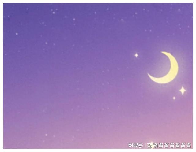 種子文件變成php_種子代碼怎么變為bt文件_種子文件轉換