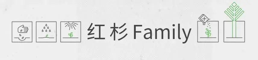 代碼需求基礎(chǔ)信息包括_信息需求 基礎(chǔ)代碼_代碼需求基礎(chǔ)信息有哪些