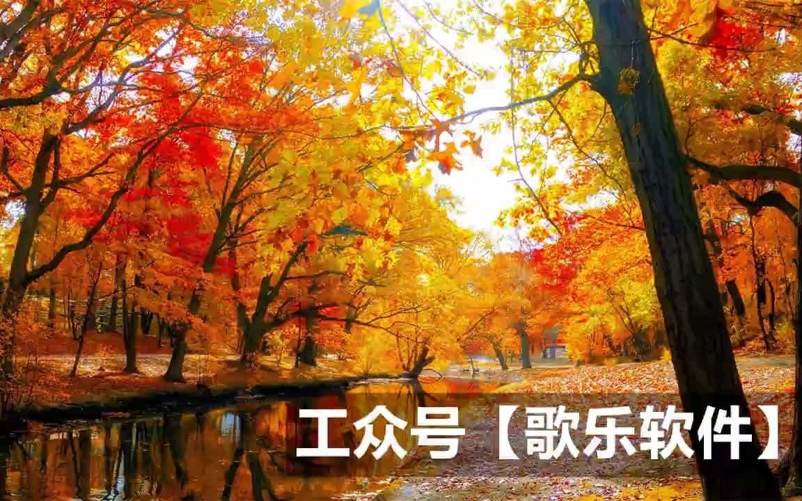 偽原創(chuàng)視頻工具哪個好用_視頻偽原創(chuàng)編輯工具_(dá)視頻偽原創(chuàng)有用嗎