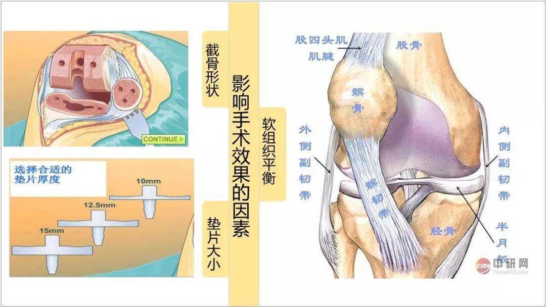 ppt所用圖片_ppt中常用的圖片_ppt中圖片全部應用