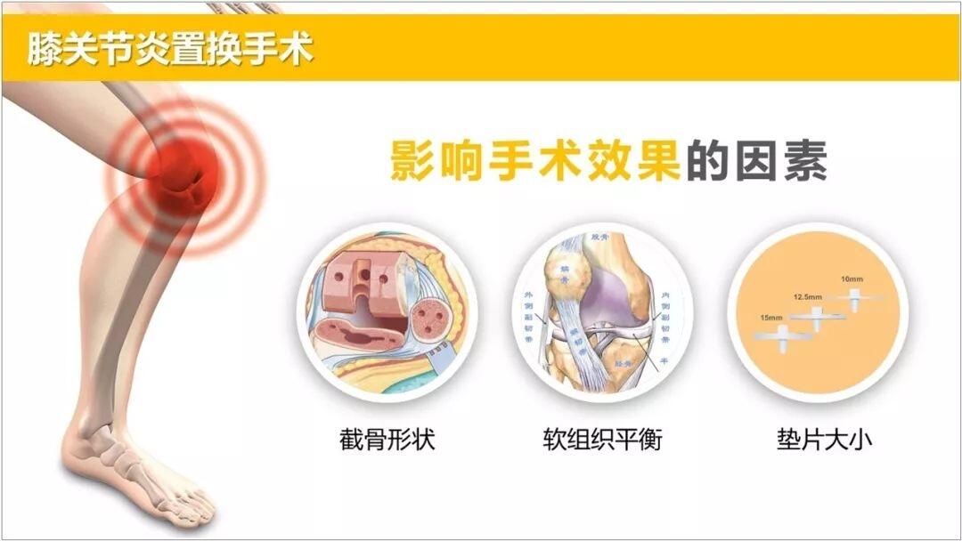 ppt所用圖片_ppt中圖片全部應用_ppt中常用的圖片