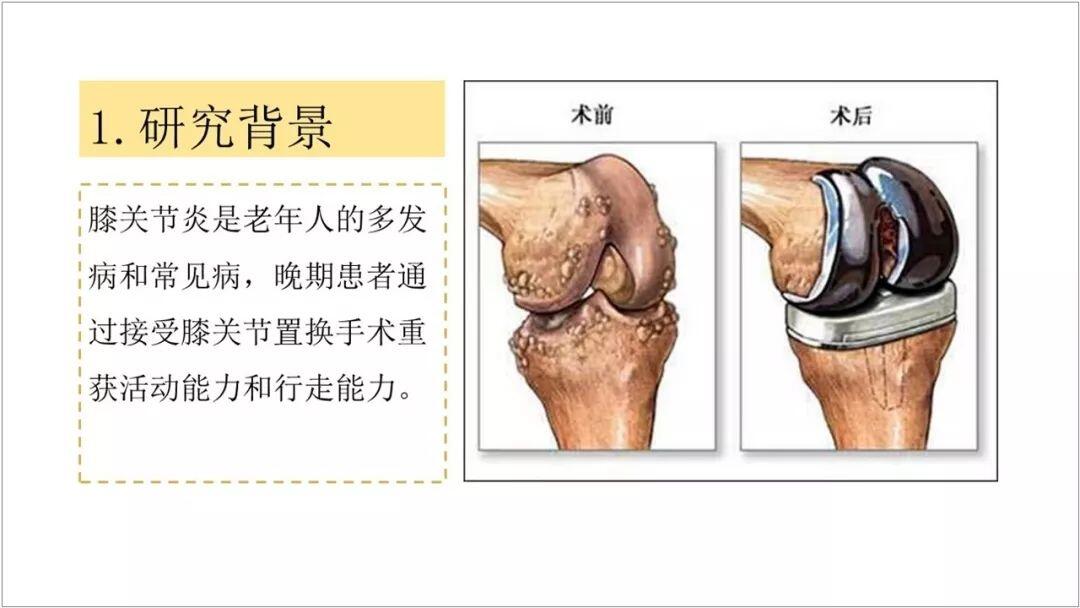 ppt中圖片全部應用_ppt中常用的圖片_ppt所用圖片