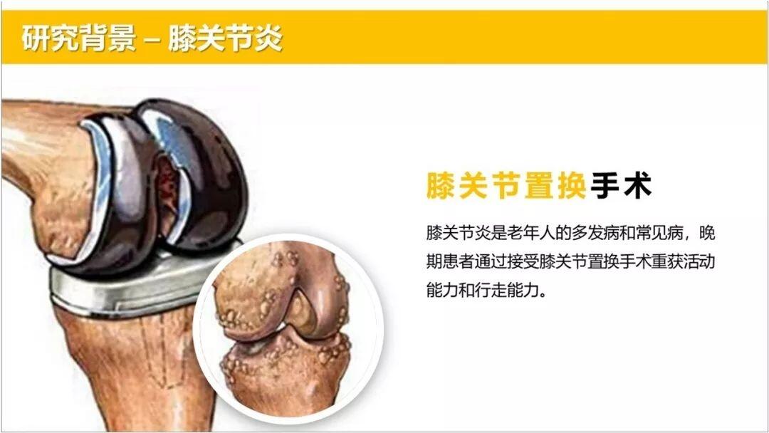 ppt所用圖片_ppt中常用的圖片_ppt中圖片全部應用