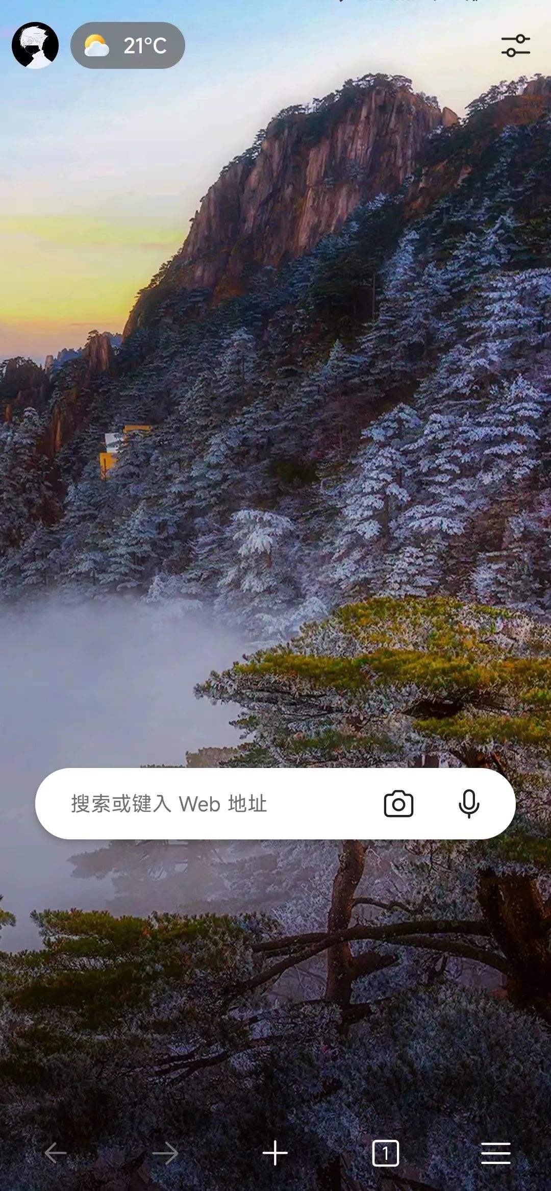瀏覽器電腦好用上推特嗎_瀏覽器哪個好電腦版_電腦上什么瀏覽器最好用