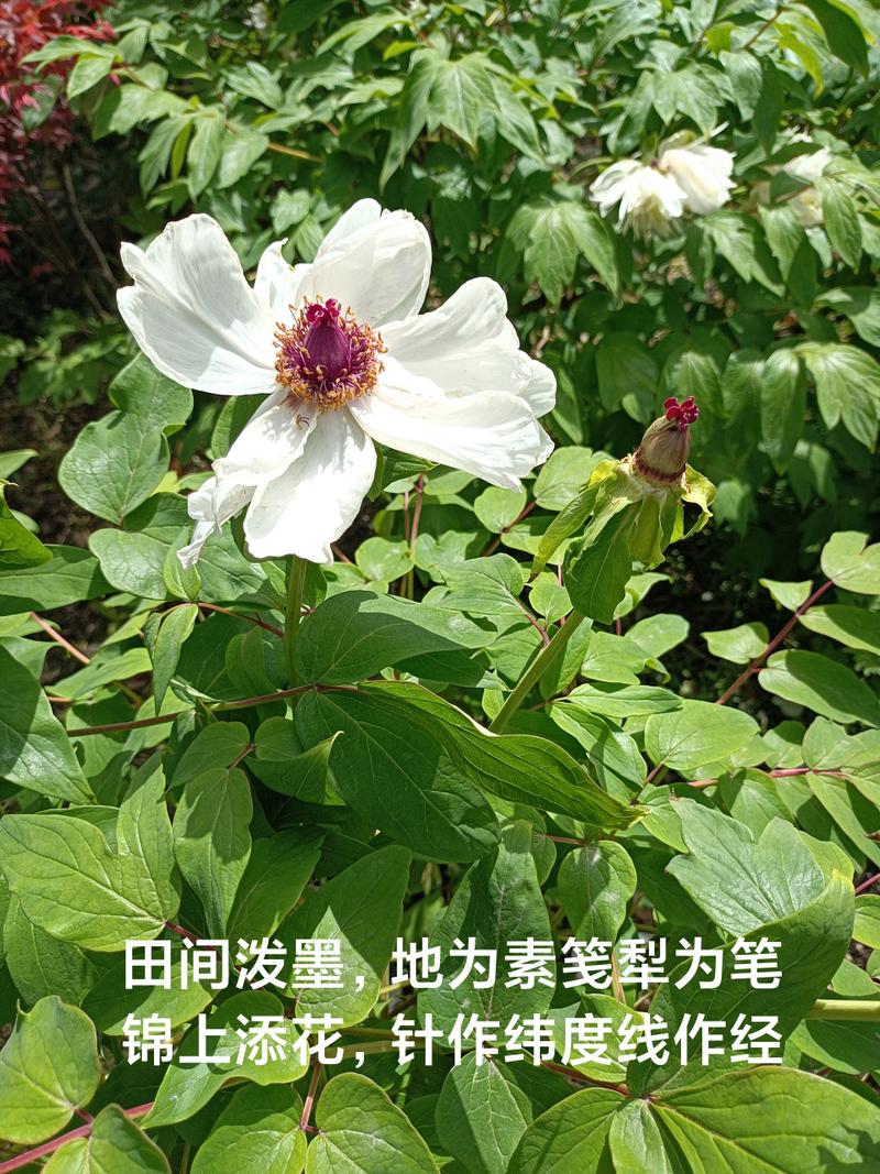 電影技術(shù)的數(shù)字化過程中正確的順序_電影數(shù)字化系統(tǒng)_怎樣理解數(shù)字電影全流程
