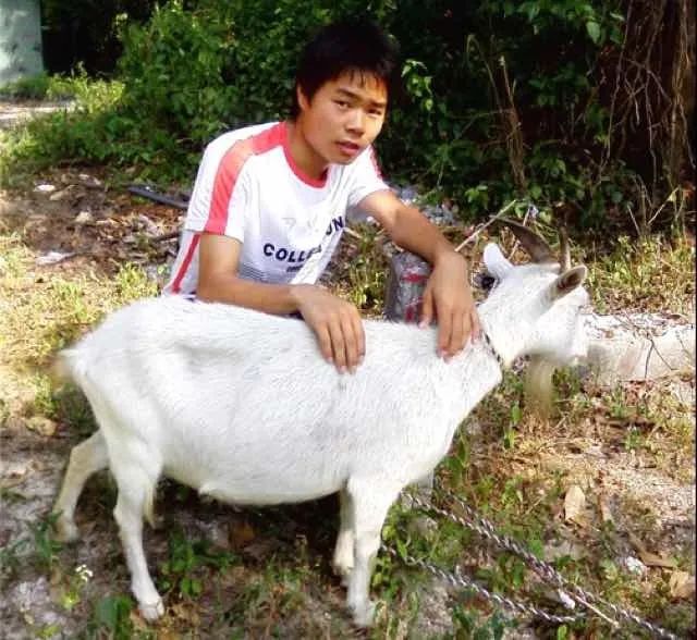 電腦上怎么輸入大于號_大于輸入電腦號上的符號_大于電腦怎么輸