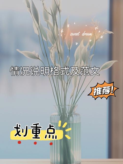 ae輸出文件過大_ae輸出格式太大_ae文件特別大