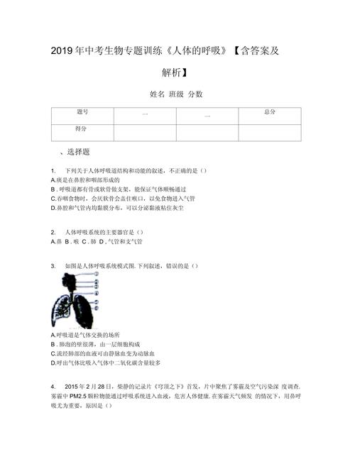 下圖是呼吸系統(tǒng)模式圖_如圖所示的呼吸形態(tài)是_圖示呼吸法的主要目的是