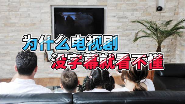 字幕看有可以用的軟件_字幕看有可以翻譯的嗎_有什么可以看字幕的