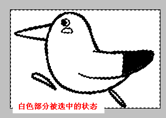 ps路徑轉圖形_ps中的路徑如何轉矢量圖_ps里圖怎么轉路徑