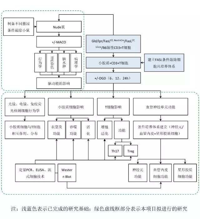 繪制路線圖軟件可以用嗎_什么軟件可以繪制路線圖_繪制路線圖軟件可以用什么