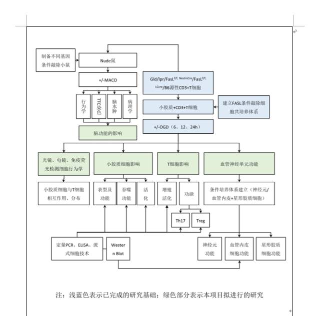 什么軟件可以繪制路線圖_繪制路線圖軟件可以用嗎_繪制路線圖軟件可以用什么